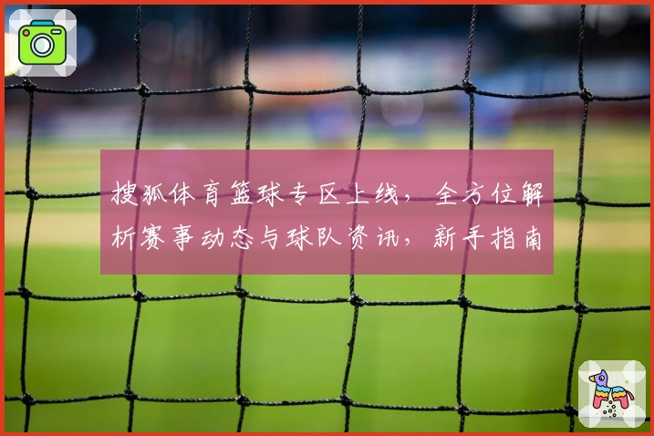 搜狐体育篮球专区上线，全方位解析赛事动态与球队资讯，新手指南助你秒懂篮球热点