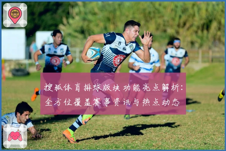 搜狐体育排球版块功能亮点解析：全方位覆盖赛事资讯与热点动态