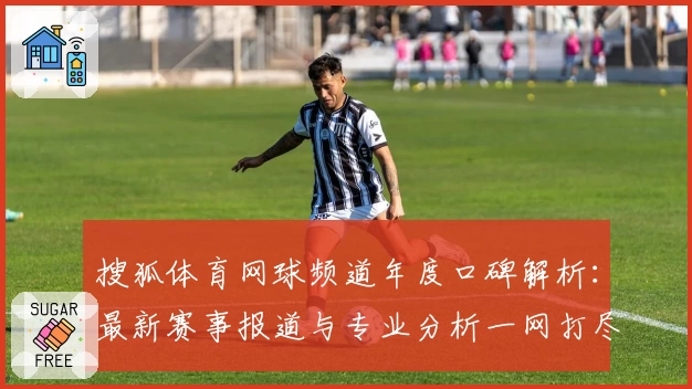 搜狐体育网球频道年度口碑解析：最新赛事报道与专业分析一网打尽
