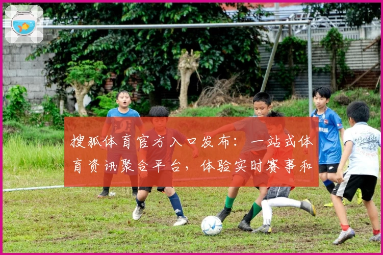 搜狐体育官方入口发布：一站式体育资讯聚合平台，体验实时赛事和专业解读