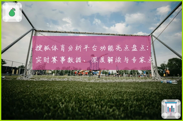 搜狐体育分析平台功能亮点盘点：实时赛事数据、深度解读与专家点评助力体育迷