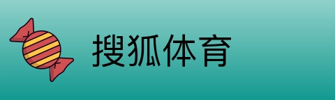 搜狐体育 logo